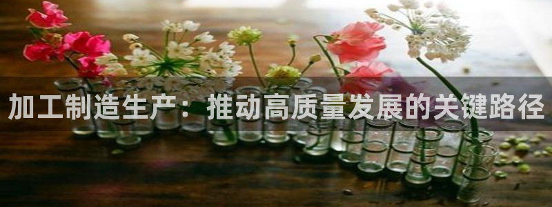 电子类pg是什么意思