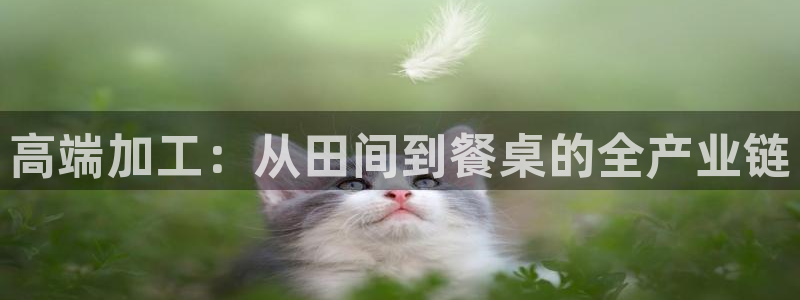 pg电子游戏刷水