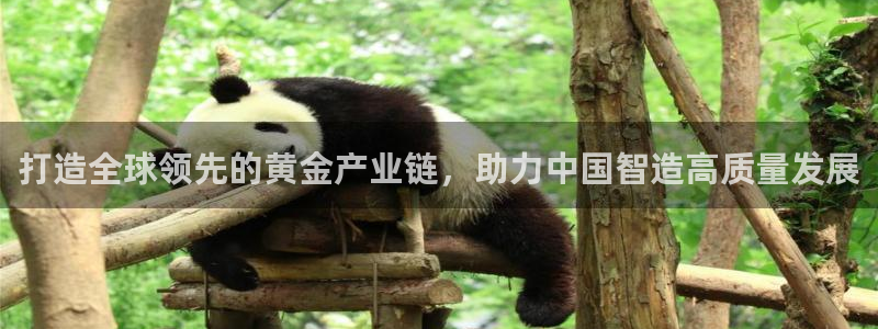 pg电子玩哪些游戏