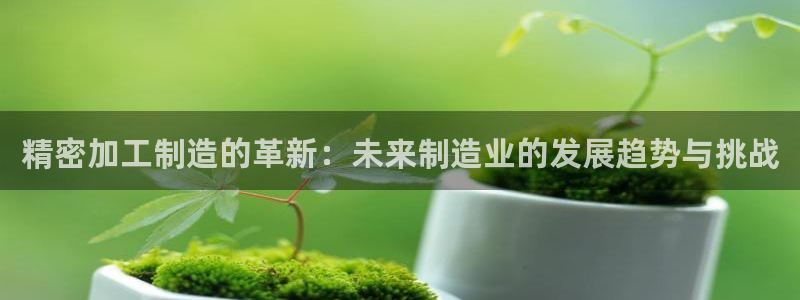 pg电子平台登录