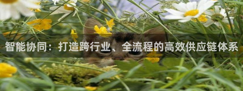 pg电子客户端官网