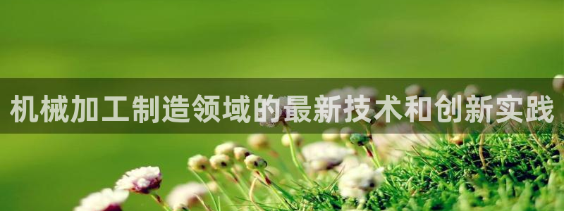 pg电子注册官网