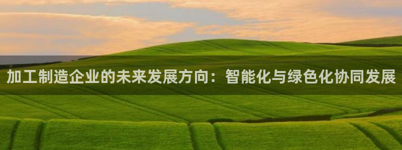 pg电子各大网站