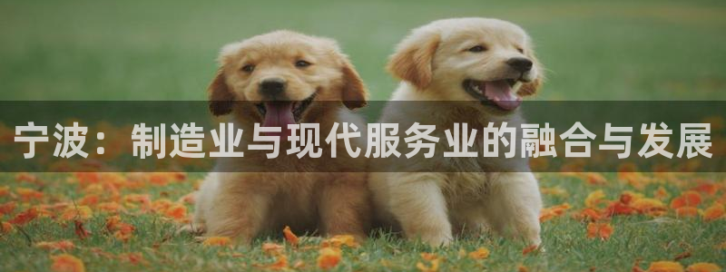 pg电子爆分秘诀