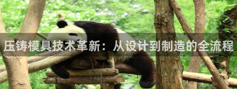 pg电子爆分网址