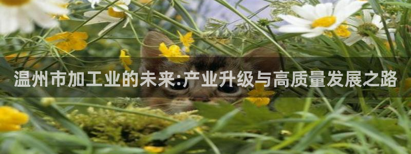 PG电子官网訫98db