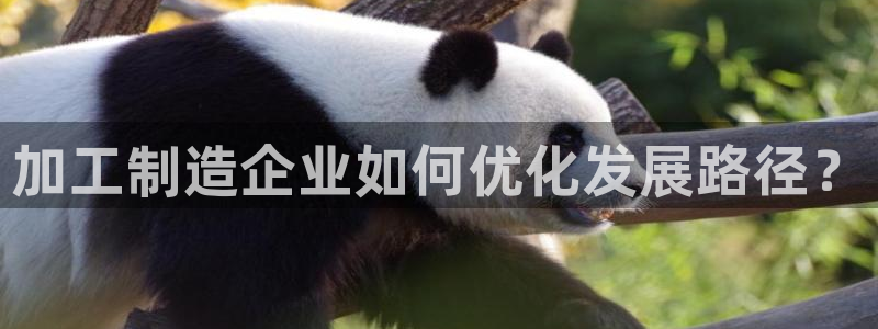 高爆率pg电子网址