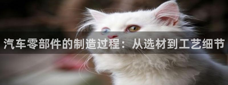 pg电子夺宝游戏试玩